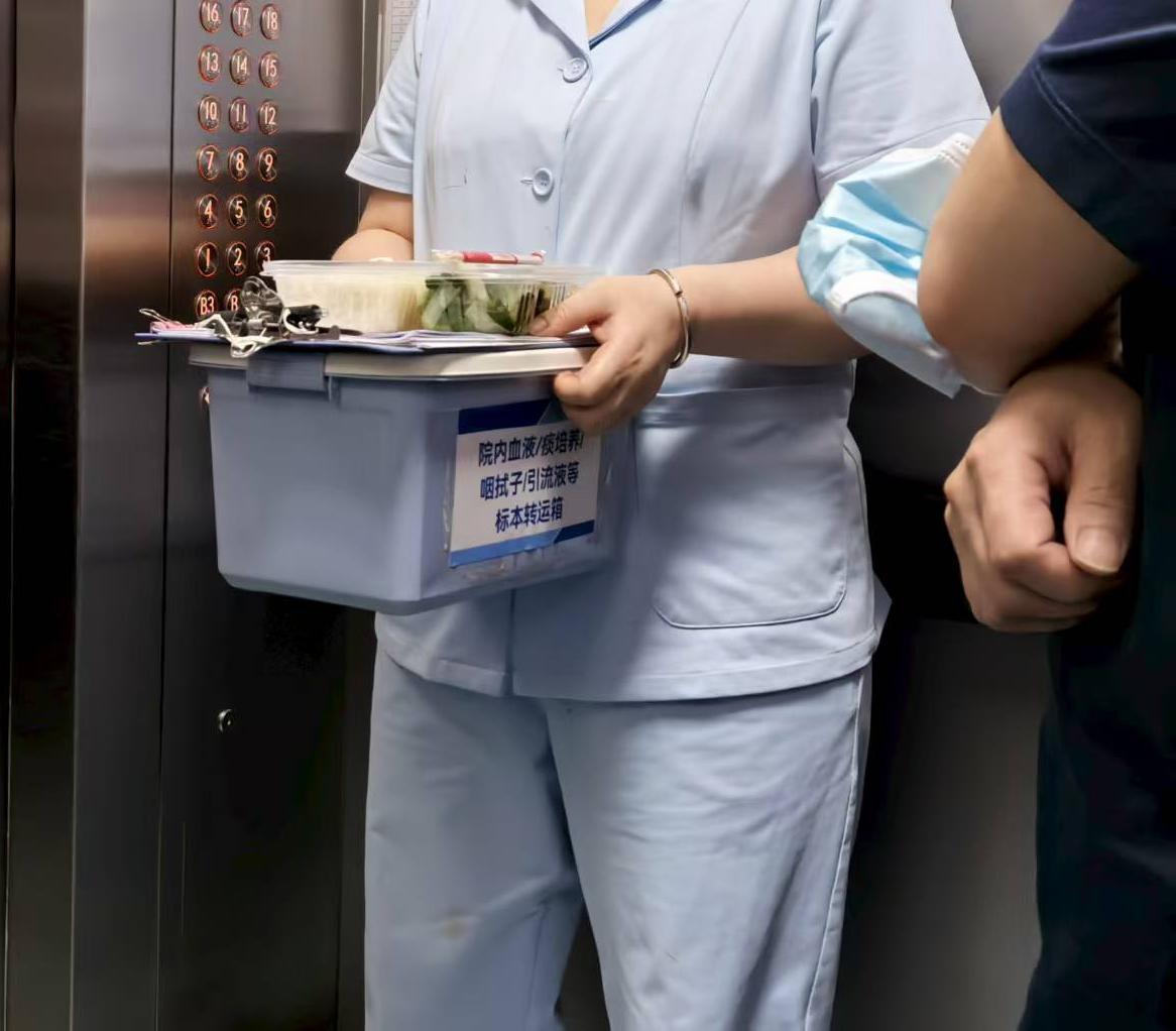 【看图找茬】第六期——标本转运篇