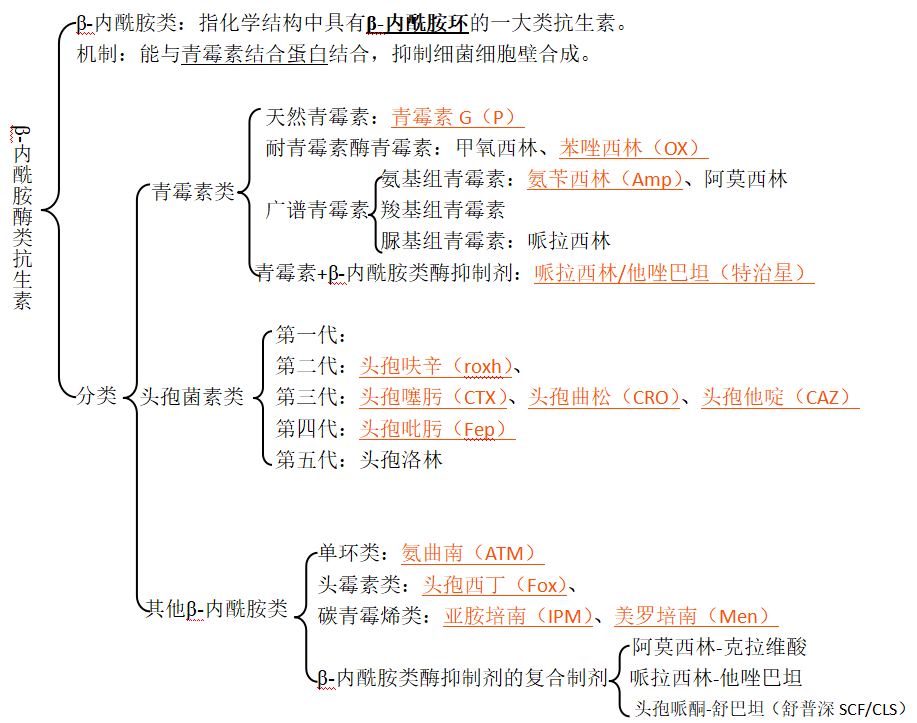【微生物】细菌耐药性检测